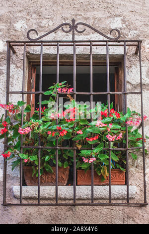 Grille métallique sur la vitre dans une vieille maison en pierre avec un pot de fleur sur le rebord Banque D'Images