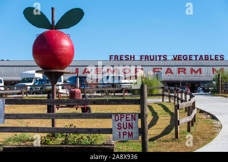 Fermes Jaemor marché routière est une destination populaire offrant des fruits et légumes frais pour les habitants et les voyageurs dans le nord-est de la Géorgie. (USA) Banque D'Images