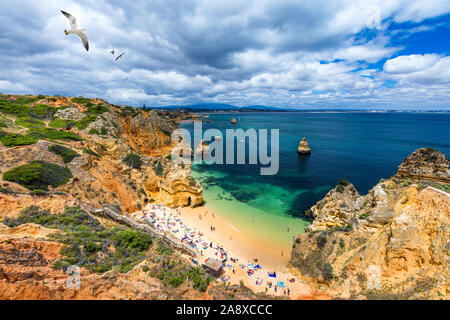 Camilo beach (Praia do Camilo) avec vol de mouettes sur les roches à Lagos, Algarve, Portugal. Passerelle en bois de la plage de Praia do Camilo, Algarv Banque D'Images