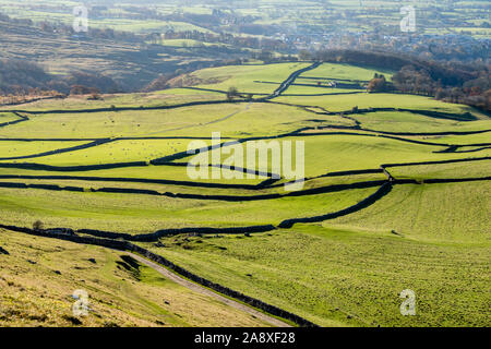 Le Yorkshire Three Peaks Challenge prend sur les pics de Pen-y-ghent, Whernside et Ingleborough, généralement dans cet ordre, et en moins de 12 heures. Banque D'Images