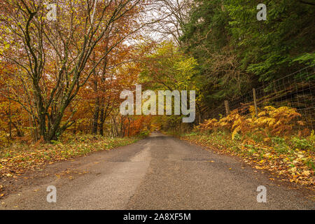 Un 3 shot image HDR de teintes automnales qui bordent une route à voie unique par Glen Lyon à Perth and Kinross, en Écosse. 3 novembre 2019 Banque D'Images