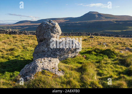 Le Yorkshire Three Peaks Challenge prend sur les pics de Pen-y-ghent, Whernside et Ingleborough, généralement dans cet ordre, et en moins de 12 heures. Banque D'Images