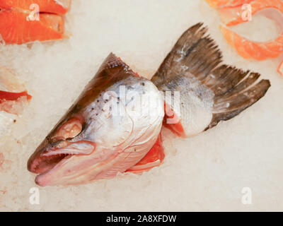 Tranches de poisson sur la glace. ​​Red du poisson congelé. Poisson rouge salmon steak haché pose en glace. Arrière-plan de l'alimentation du poisson rouge - salmon steak haché fixant dans la glace Banque D'Images