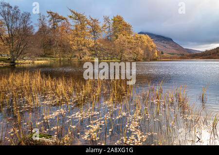 Un 4 shot image HDR d'un Dubh Lochan en couleurs automnales avec Sgriodain Stob Coire en arrière-plan, Glen Spean, en Écosse. 4 novembre 2019 Banque D'Images