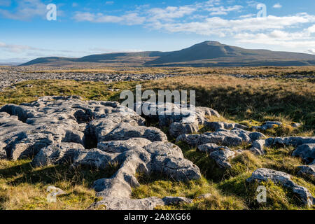 Le Yorkshire Three Peaks Challenge prend sur les pics de Pen-y-ghent, Whernside et Ingleborough, généralement dans cet ordre, et en moins de 12 heures. Banque D'Images