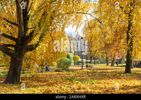 Beau parc à l'automne avec de vieux lampadaires et bancs, arbres et feuilles jaunes Banque D'Images