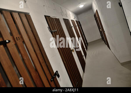 Chambres de stockage en sous-sol dans immeuble neuf, Wroclaw, Pologne. Chambres avec portes en bois simple et de murs blancs. Banque D'Images