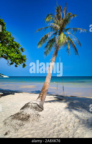 Belle plage de sable de la baie, ciel bleu, corde swing sur un palmier, Phu Quoc Island, Vietnam Banque D'Images