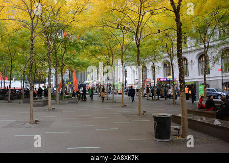 New York, NY - 05 NOV 2019 : Zuccotti Park , avec arbres lumineux, est une immense Plaza dans le Lower Manhattan maintenant synonyme d'Occupy Wall Street movemen Banque D'Images