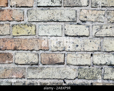 Vieille brique. Vieux mur de briques rouges avec texture de fond de peinture blanche. Banque D'Images