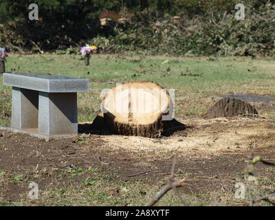EF-3Tornado North Dallas région durement touchée, Preston Hollow, University Park, Highland Park, Preston,Royal Central Royal Expresswa Banque D'Images