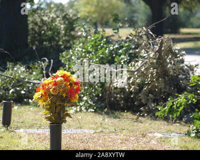 EF-3Tornado North Dallas région durement touchée, Preston Hollow, University Park, Highland Park, Preston,Royal Central Royal Expresswa Banque D'Images