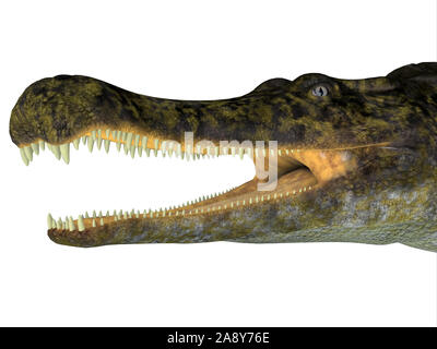 Sarcosuchus était un crocodile aquatique carnivore qui vivait en Afrique au cours de la période du Crétacé. Banque D'Images