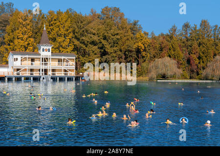 Budapest, Hongrie 10.08.2019 : la natation de personnes dans le célèbre bain thermal Heviz balnéothérapie Parc étang en Hongrie saison automne Banque D'Images