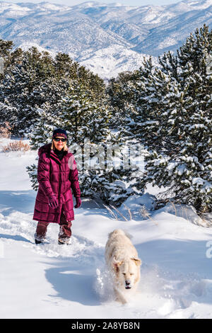 Randonnée avec femme de couleur platine Golden Retriever dog dans la neige près de Salida, Colorado, USA Banque D'Images