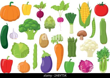 Légumes Collection : Ensemble de 26 légumes différents en style cartoon Vector illustration Illustration de Vecteur