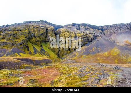 Grande façade rocheuse en Islande - Gorge de Raudfeldsgja Banque D'Images