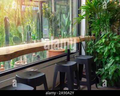 Bar Live edge table et chaises noires avec le jardin vert en café avec jardin de cactus à l'extérieur de la fenêtre en verre. Banque D'Images