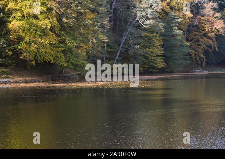 La couleur en automne sur le lac de Trakošćan, Croatie Banque D'Images