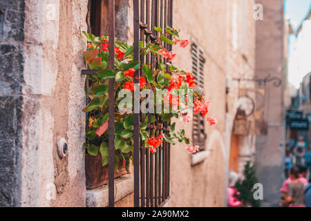 Le mur d'une vieille maison sur une rue étroite de la ville est décorée avec un pot de fleur et une grille en fer forgé Banque D'Images