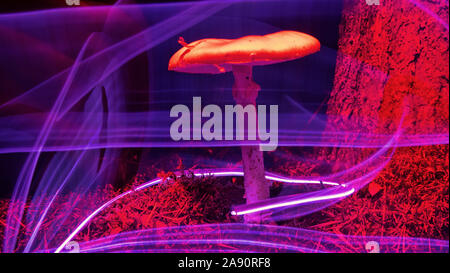 Nature néon. Les champignons et les plantes illuminée par un gaz inerte. Les choses paradoxales et de couleurs que les couleurs des jeunes Banque D'Images