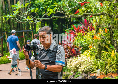 L'une active Asian senior mâle homme chinois de prendre des photos avec son appareil photo reflex numérique Banque D'Images