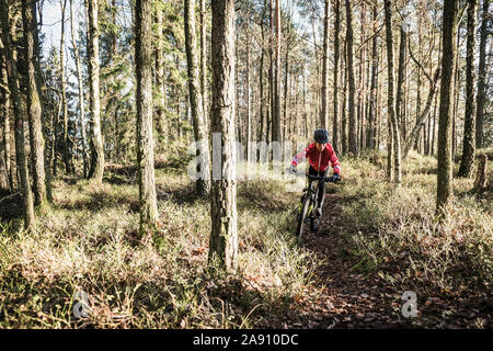 Randonnée à vélo dans la forêt Banque D'Images