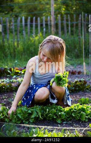 Fille dans le jardin Banque D'Images