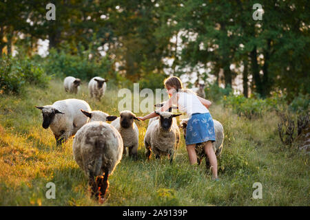 Fille de caresser les moutons Banque D'Images