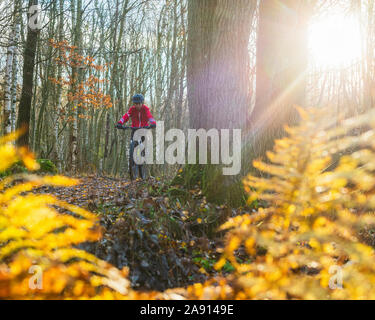 Cycliste à forest Banque D'Images