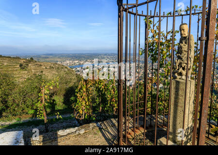France, Ardèche, Tournon sur Rhone, vignoble et la statue de Saint Joseph, saint de vin et les collines // France, Ardèche (07), de Tournon-sur-Rhône, vignoble Banque D'Images