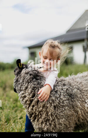 Fille de caresser les moutons Banque D'Images