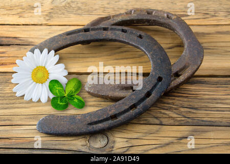 Horseshoe contre fond de bois Banque D'Images