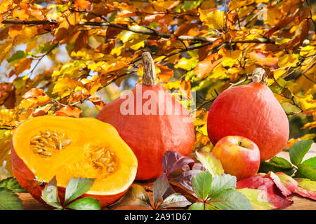 Citrouilles et pommes d'automne Banque D'Images