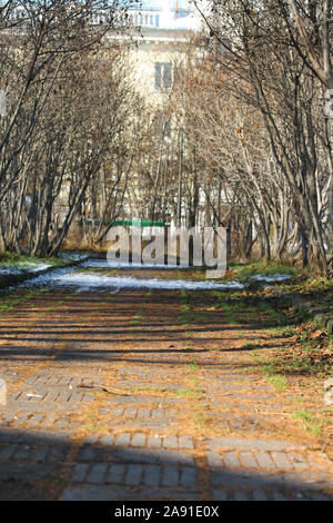 Automne route lumineuse dans le parc de la ville. Feuillage jaune et orange et les aiguilles des conifères sur le terrain. L'herbe verte et de neige. Chaude journée ensoleillée Banque D'Images