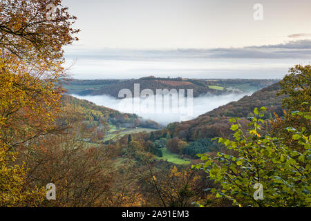 Brume du matin dans la vallée de la Wye entre Llandogo et Bigswier. Banque D'Images