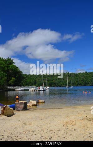 Plage au bord du lac, l'anse de Sordan, lac de Guerlédan, Bretagne, France Banque D'Images