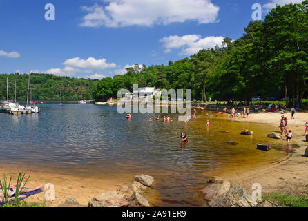 Plage au bord du lac, l'anse de Sordan, lac de Guerlédan, Bretagne, France Banque D'Images