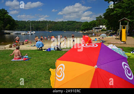 Plage au bord du lac, l'anse de Sordan, lac de Guerlédan, Bretagne, France Banque D'Images