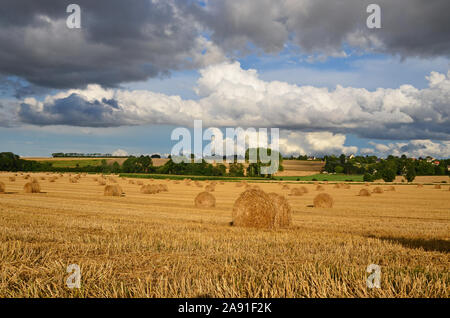 L'été, campagne agricole Normandie France Banque D'Images