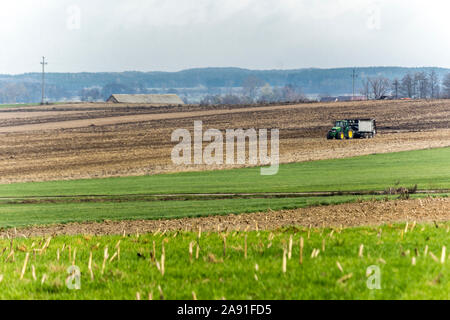 Tracteur à roues avec une remorque pour l'épandage de fumier. Les travaux d'automne dans une ferme laitière. Podlasie, Pologne. Banque D'Images