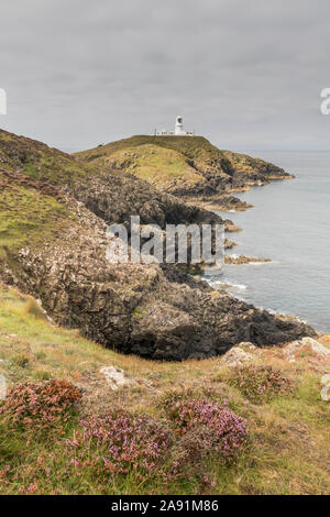 Strumble Head, près de Fishguard, Pembrokeshire, Pays de Galles Banque D'Images