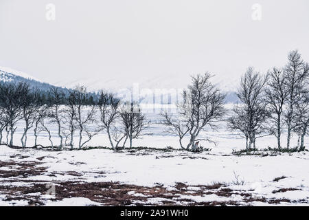 Paysage d'hiver Banque D'Images