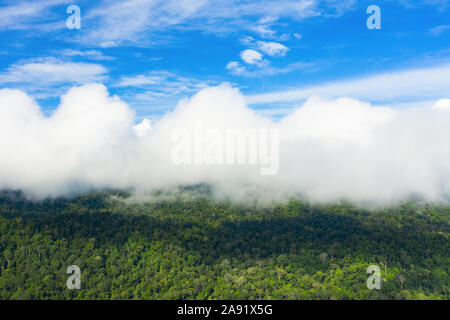 Vue de dessus, superbe vue aérienne du Taman Negara National Park avec la forêt tropicale et de beaux nuages doux. Banque D'Images