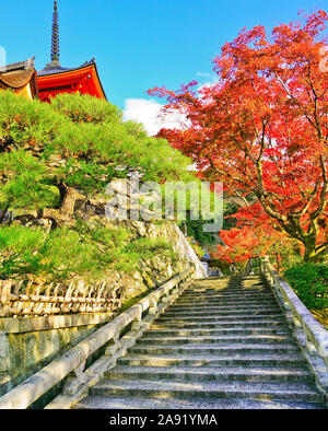 Vue sur le Temple Kiyomizu-dera, un jour ensoleillé, à l'automne à Kyoto, au Japon. Banque D'Images