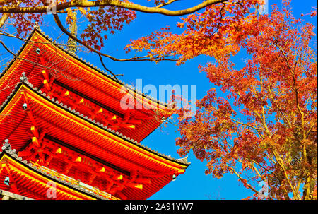 Vue sur le Temple Kiyomizu-dera, un jour ensoleillé, à l'automne à Kyoto, au Japon. Banque D'Images