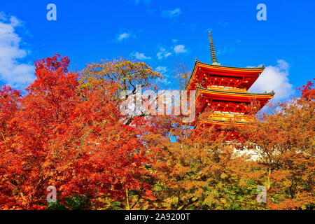 Vue sur le Temple Kiyomizu-dera, un jour ensoleillé, à l'automne à Kyoto, au Japon. Banque D'Images