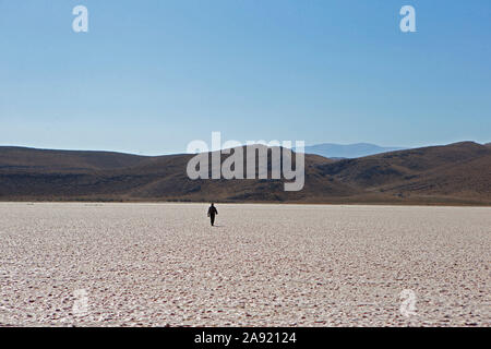 Le Fars, en Iran. 11Th Nov, 2019. Un homme marche sur la de partie de l'Maharloo Lake dans la province du Fars, dans le sud de l'Iran, le 11 novembre 2019. Une grande partie de Maharloo Lake a pratiquement disparu au cours des dernières années en raison de la sécheresse. Credit : Ahmad Halabisaz/Xinhua/Alamy Live News Banque D'Images