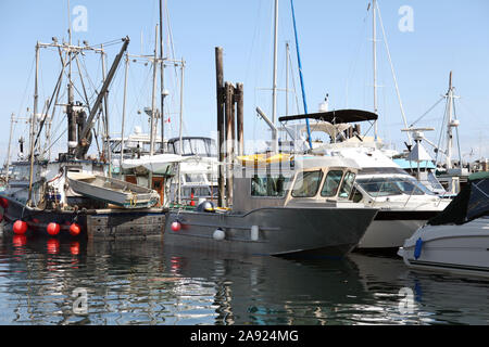 Bateaux amarrés à la marina de la rivière Campbell, Vancouver, Colombie-Britannique, Canada, 2016 Banque D'Images