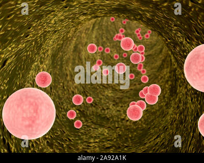 L'intérieur du vaisseau sanguin, l'insuline et les leucocytes à l'intérieur du vaisseau sanguin, les cellules de sang blanches, de haute qualité de rendu 3D de cellules du sang Banque D'Images